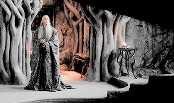 elvenking:    A hundred years is a mere blink in a life of an E l f.  