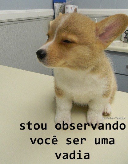 Quando a bitch passa na minha frente: