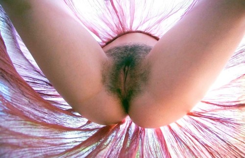 http://hairypussyland.tumblr.com/post/63975825473