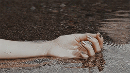 0e36e02d703257ae4b674bbd4e6fedd732be9fd5.gif