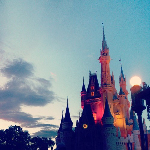 I could just take photos of it all night!! #MagicKingdom #CinderellaCastle #DisneyWorld #Florida