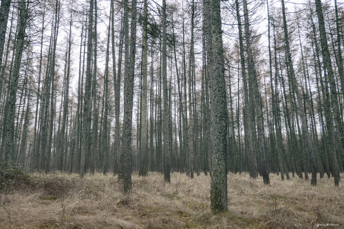 // labyrinth //web instagramby Georg Nickolaus