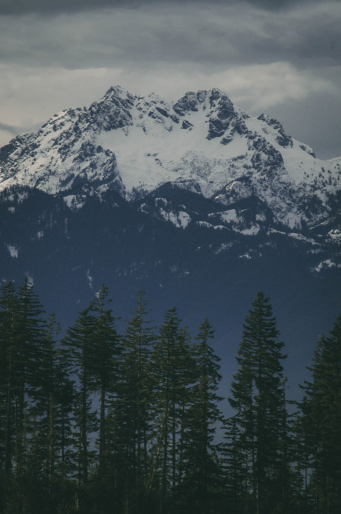 millivedder:Washington Mountains
