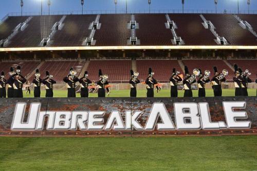 Mandarins, DCI West 2014