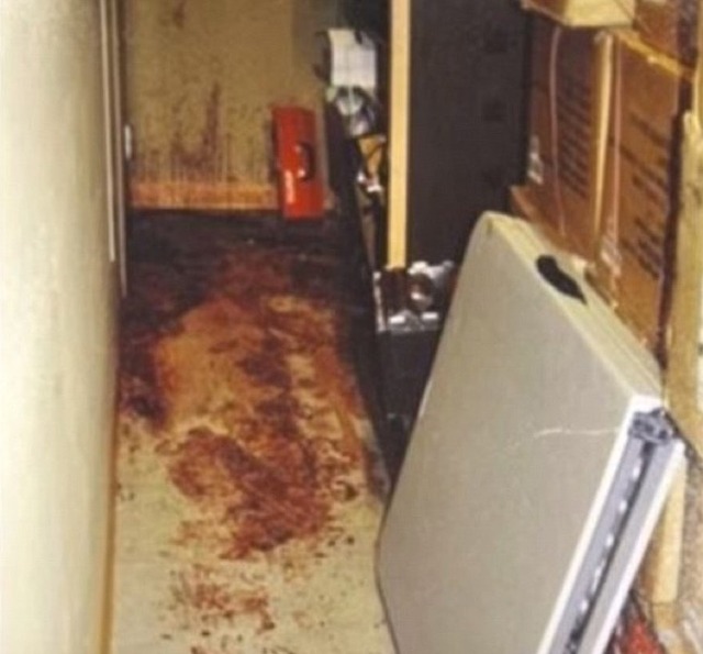 Katherine Knight Explore Tumblr Posts And Blogs Tumgir