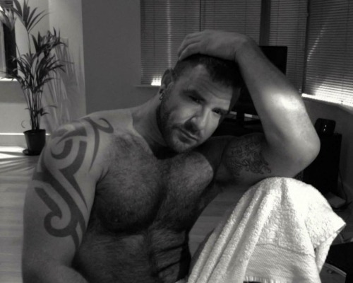  My two hairy men blogs: http://sambrcln.tumblr.com/archive http://hairysex.tumblr.com/archive
