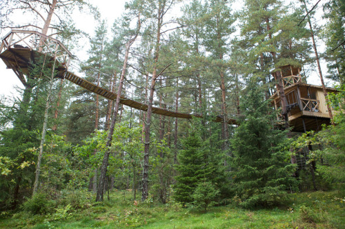 voiceofnature:Urnatur, Sweden. “The wood hermitage is a place for relaxation and reflection. Here in the forest you can enjoy the luxury of simplicity, living in unique hand-crafted cottages, or in a tree house, without electricity. Sit down  by the