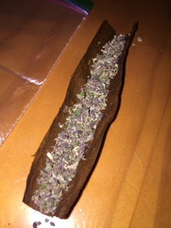 Rolling up some purple
