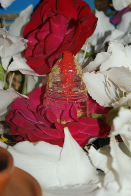 Varalakshmi pooja at my household.