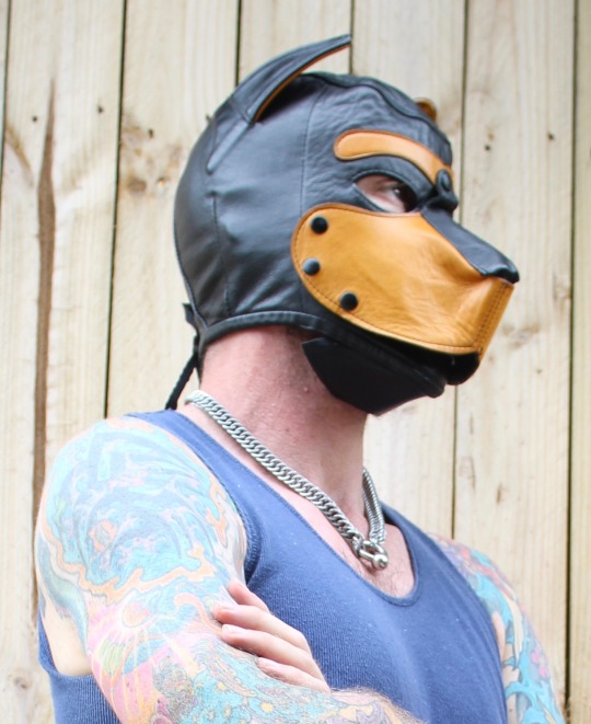 One of the more common questions I hear among those new to human pup play is what sort of pup hood or mask to consider…Of course this is always going to come down to personal preferences however I do have some thoughts on what a few ways to go