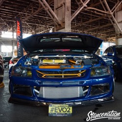 fuckyeahhellaflush:   