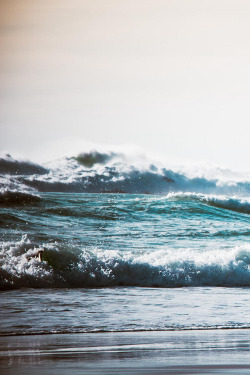 asurferdreams:  ocean adventures