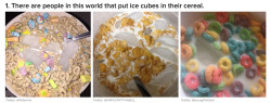 justanotherparrotlover:  fuckyoursuggestions:  thetroyisgreat:  myconfettitrail:  buzzfeed:  19 Things You Won’t Believe People In This World Actually Do  My mom is a icey cereal eater lol  I need ice in my cereal man  ^bro. Who hurt you?  how does