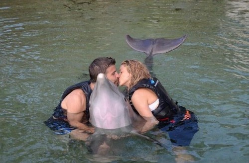 DOLPHIN KISSES! 😘 🐬 