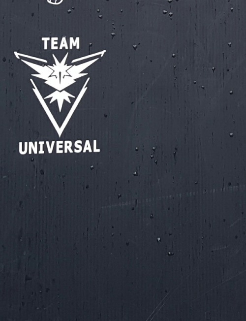Team Valor, Team Mystic, and *looks at smudged writing on hand* Team Universal.