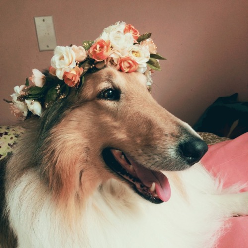 boyphowdy:Little Queen