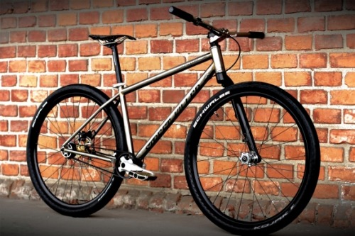 koolrider:  Street Killer by SingleBe Bikes