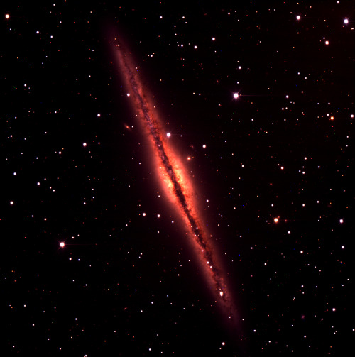 NGC 891 imaged with the Discovery Channel Telescope by graduate students in Professor Elizabeth Blan