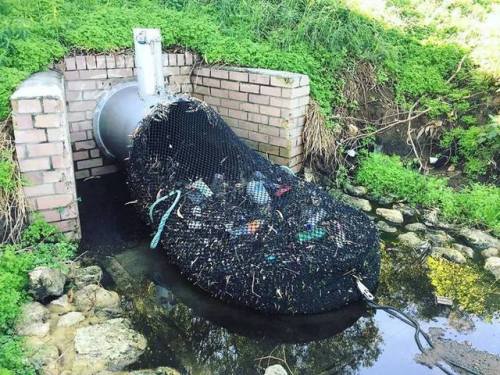 fed-up-fighting:  madre-suicide:  sixpenceee: Australia has started to test a network of drainage with mesh so that plastics and other pollutants do not reach rivers or sea.  LOUDER FOR THE PEOPLE IN THE U.S.   Friendly reminder that These 10 rivers