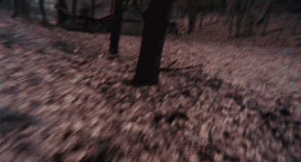 theincredibletacoman:The Evil Dead