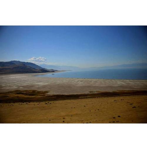 From our trip to #antelopeisland ( #greatsaltlake )