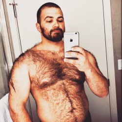 bearweek365:  Full Bear Contact via Mr. @mrftheartist