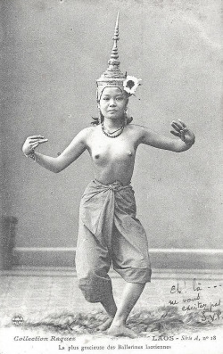 matrixbotanica:  1906 Laos 