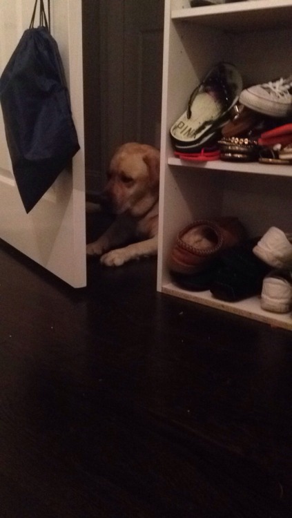 taggedrne:  bubba doesn’t know how to walk through halfway opened doors and accepted his defeat