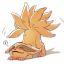 awakenedfoxspirit
