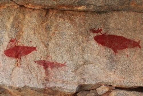 Rock art in the Izcuña ravine of Chile’s Atacama Desert (c. 500 AD),with depictions of whales 