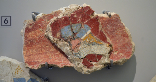 greek-museums:Archaeological Museum of Heraklion:Two fresco fragments depicting crocus clumps in a m
