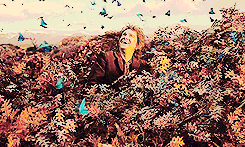  desolation of smaug + scenery porn      