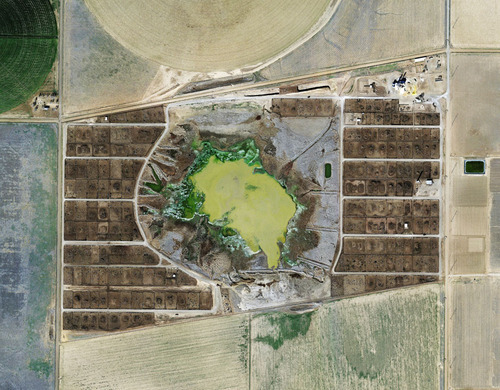 Industrialized Meat: The Landscapes of Factory Farming Feedlots are facilities used in factory farmi