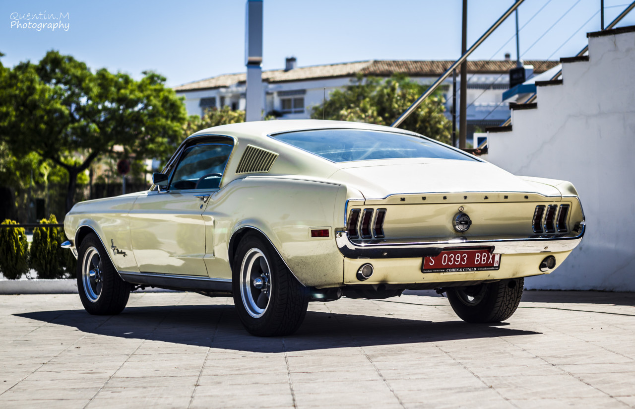 throttlestomper:  Ford Mustang Fastback[x]