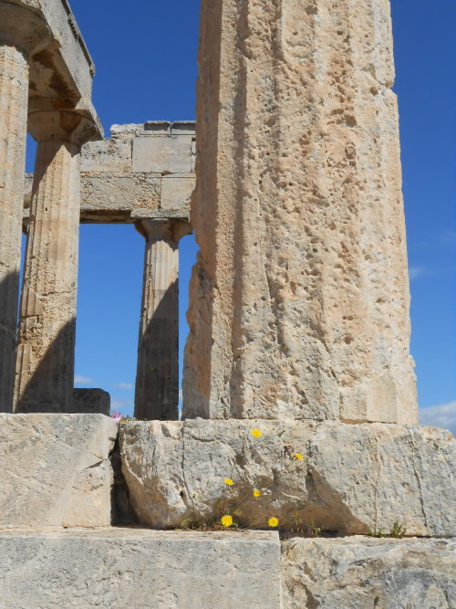 hobbit:Temple of Aphaia - Aegina, Greece