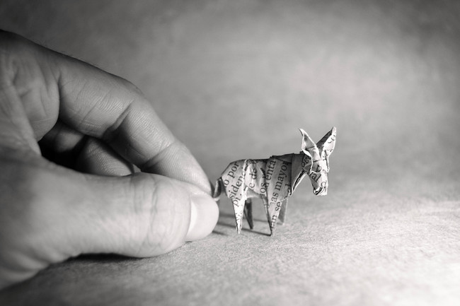 sixpenceee:   Origami art by Spanish artist Gonzalo García Calvo     