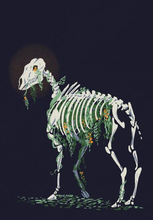 chjorniy-voron