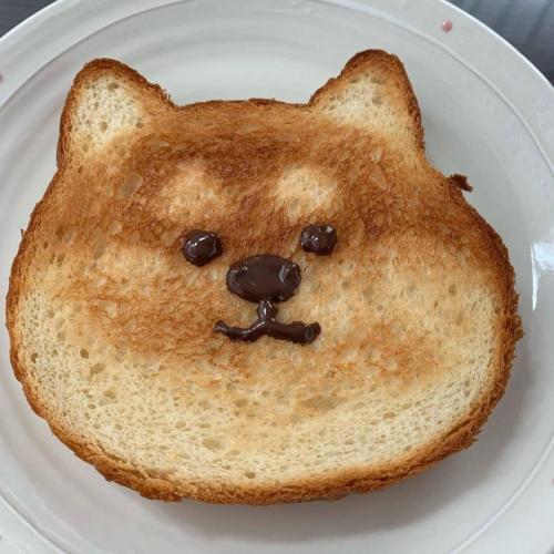 trenchcoatmimic:everythingfox:such toast@seekersqueaker @a-sack-of-wet-mice @cheese-greater-official