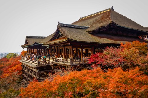 kyotodreamtrips: The main hall or Hon-dō (本堂) of Kiyomizu dera During the Autumn Season of 2012 in K