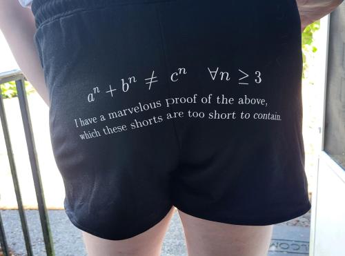 @wishuponastarion Helped Me Make These Fermat's Last Theorem Booty Shorts For Seattle Trans Pride!