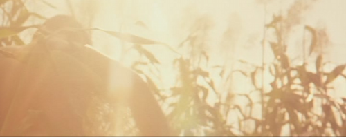 Red Sorghum (1987) - Zhang Yimou.