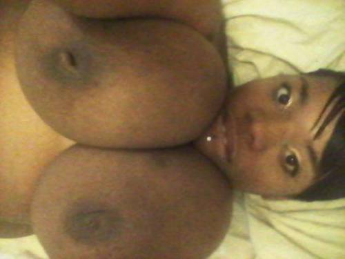 big tit lover