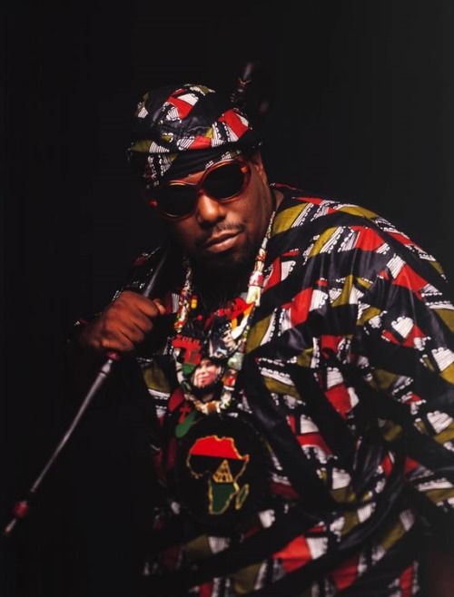 Afrika Bambaataa (1993)