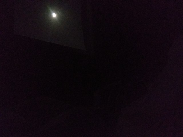 milliemo0:thespectacularspider-girl:quinzelade:There is bright moonlight streaming into my room, and I am content.That’s good.It seems content too.