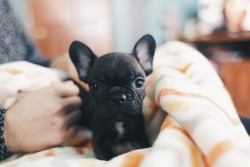 Awwww-Cute:  Meeting Her Parents For The First Time!