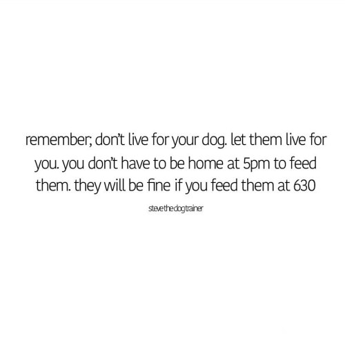 Self explanatory .. #dog #dogsofinstagram #instadog #people #life #dogslife #puppylove (at B