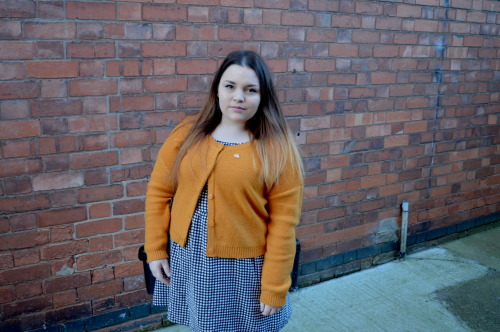 fatgirlstyle:  pumpkinandpies:  Outfit of the (other) day I kept meaning to upload these, but I just could not find the time at all. I mean, I have been on my computer, though all I have been doing is making travel plans and getting super excited! So,