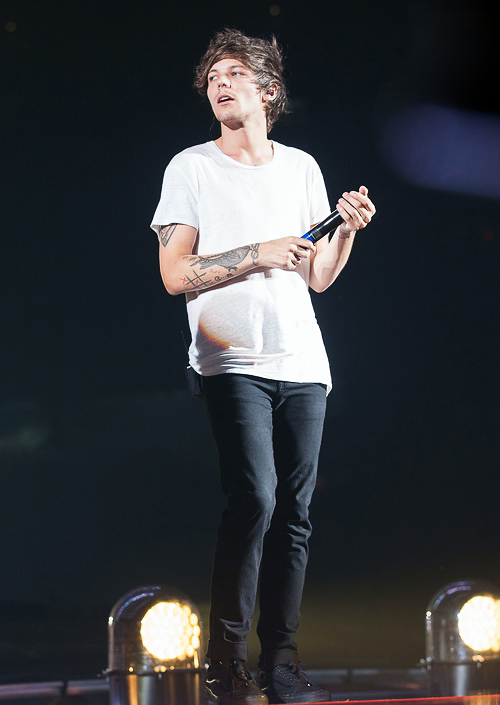 Wild Harry Styles at Miami Concert One Direction Oct 5 2014