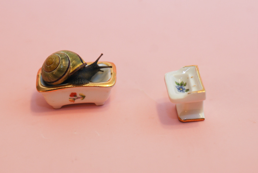 oliverthesnail:  Rub-a-dub-dub, a snail in the tub! 