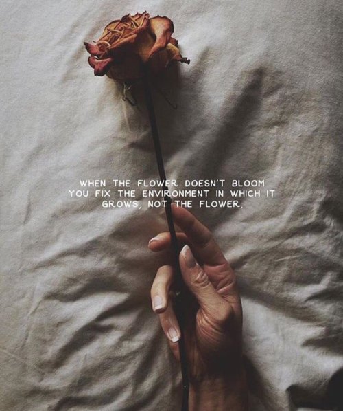 Daily Inspirational Quotes
